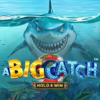 Big Catch HW artwork